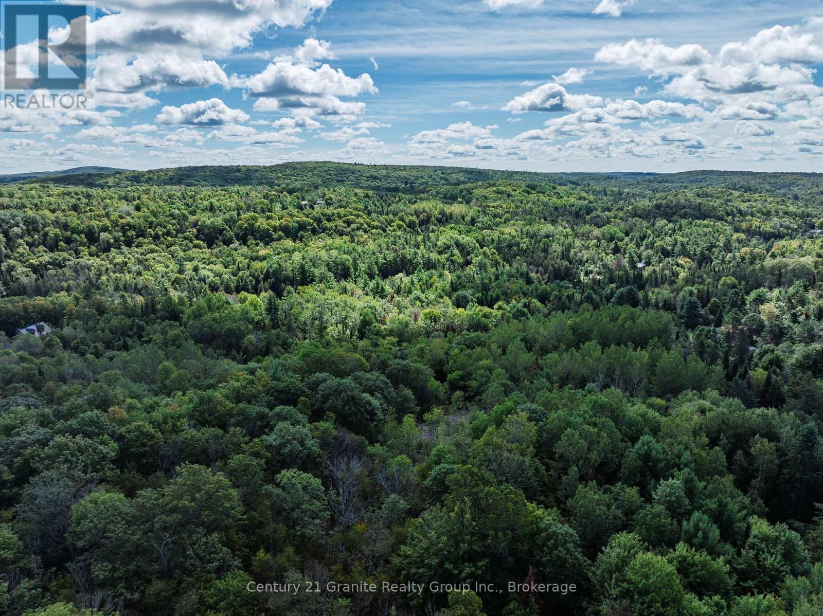 1961 Irondale Road, Highlands East, Ontario K0M 1R0 - Photo 32 - X13759422
