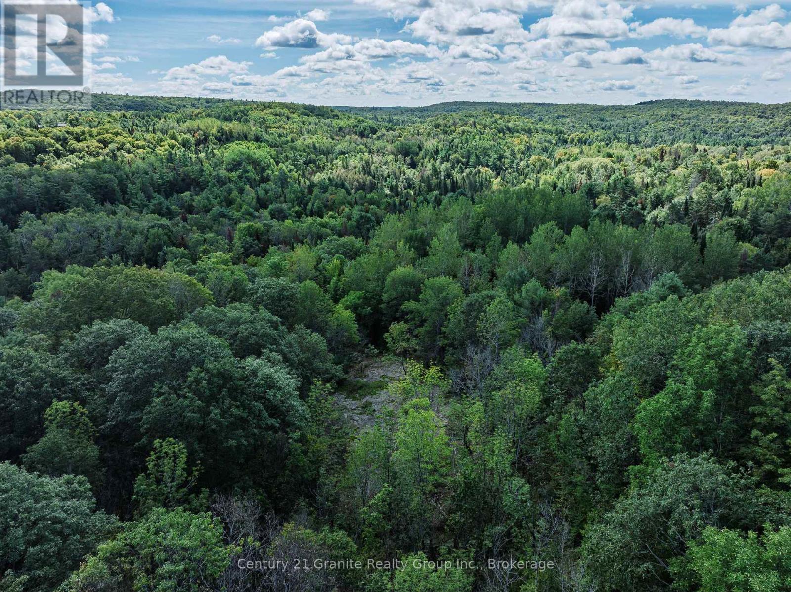 1961 Irondale Road, Highlands East, Ontario K0M 1R0 - Photo 33 - X13759422