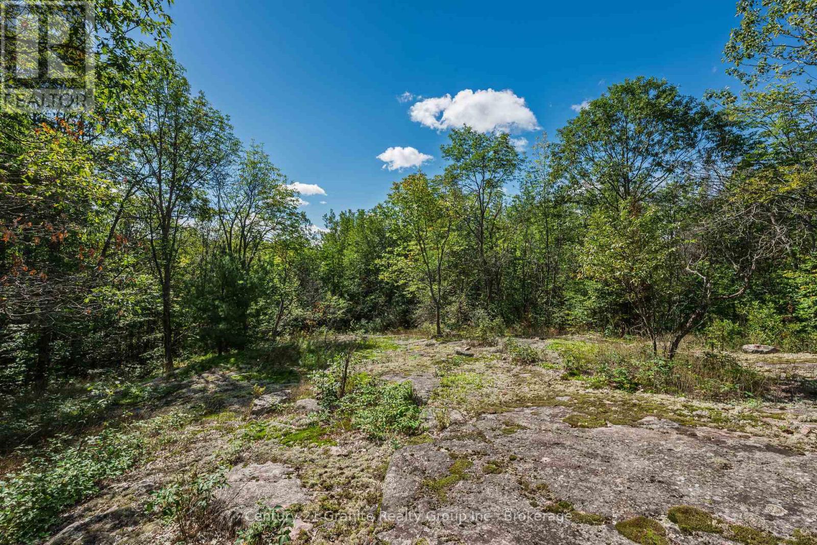 1961 Irondale Road, Highlands East, Ontario K0M 1R0 - Photo 34 - X13759422
