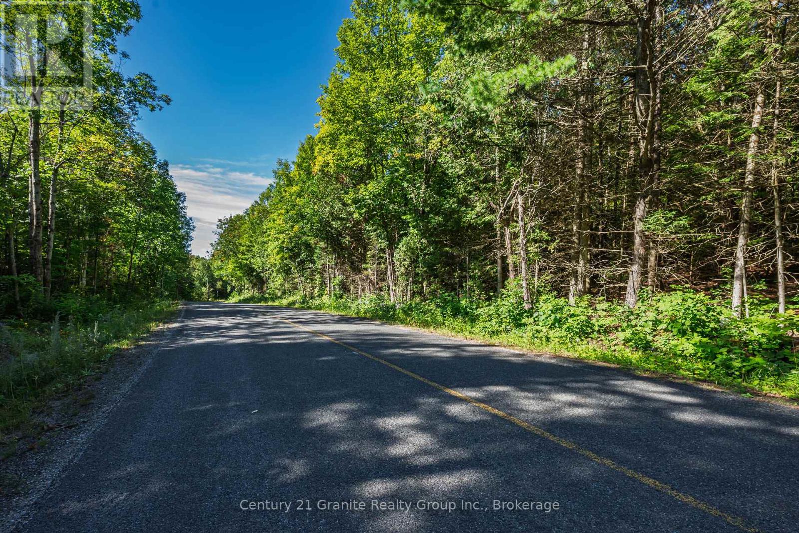 1961 Irondale Road, Highlands East, Ontario K0M 1R0 - Photo 35 - X13759422