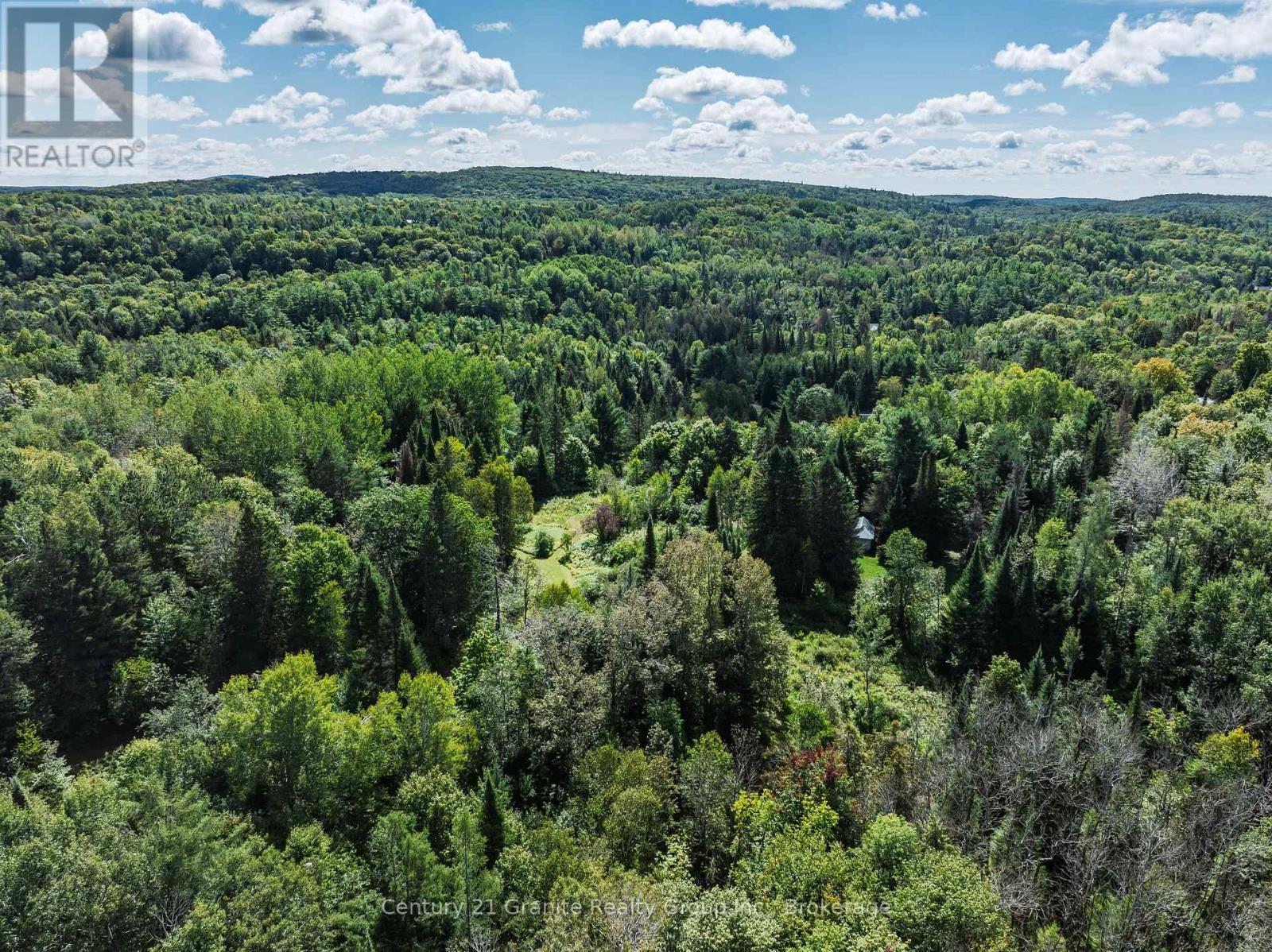 1961 Irondale Road, Highlands East, Ontario K0M 1R0 - Photo 4 - X13759422