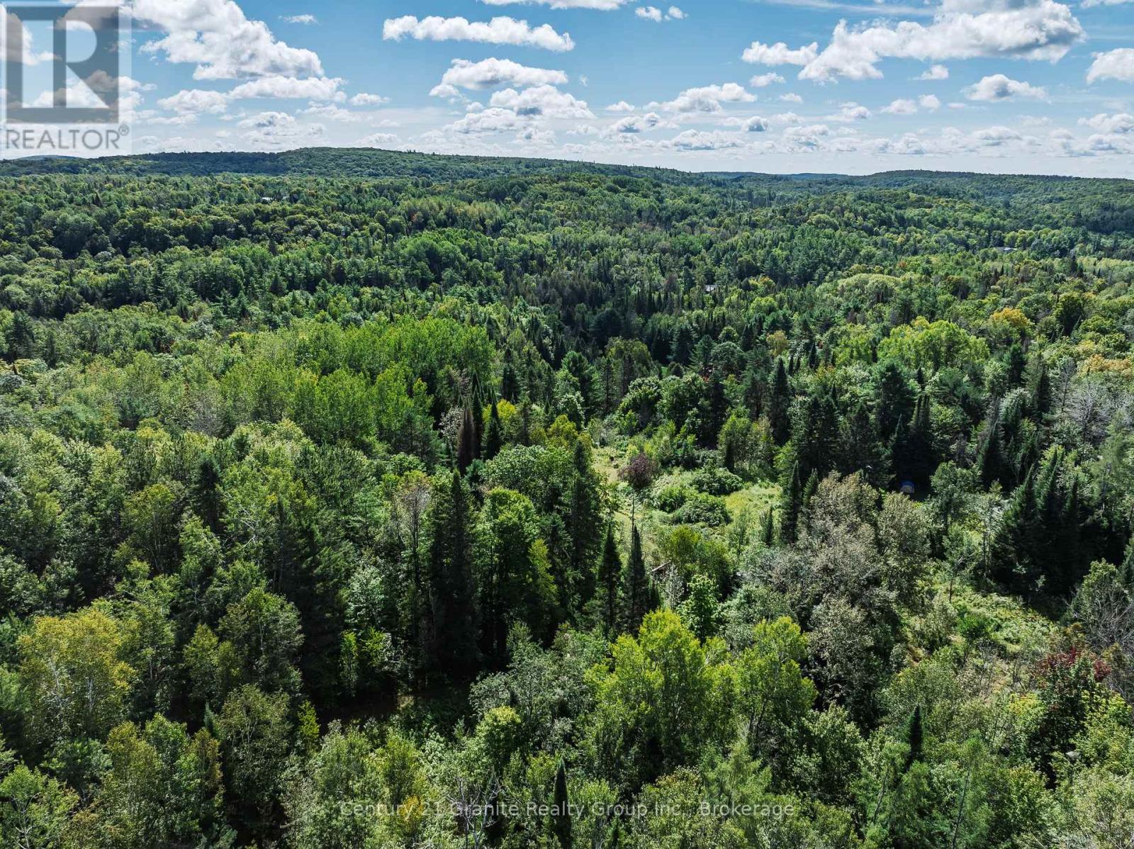 1961 Irondale Road, Highlands East, Ontario K0M 1R0 - Photo 5 - X13759422