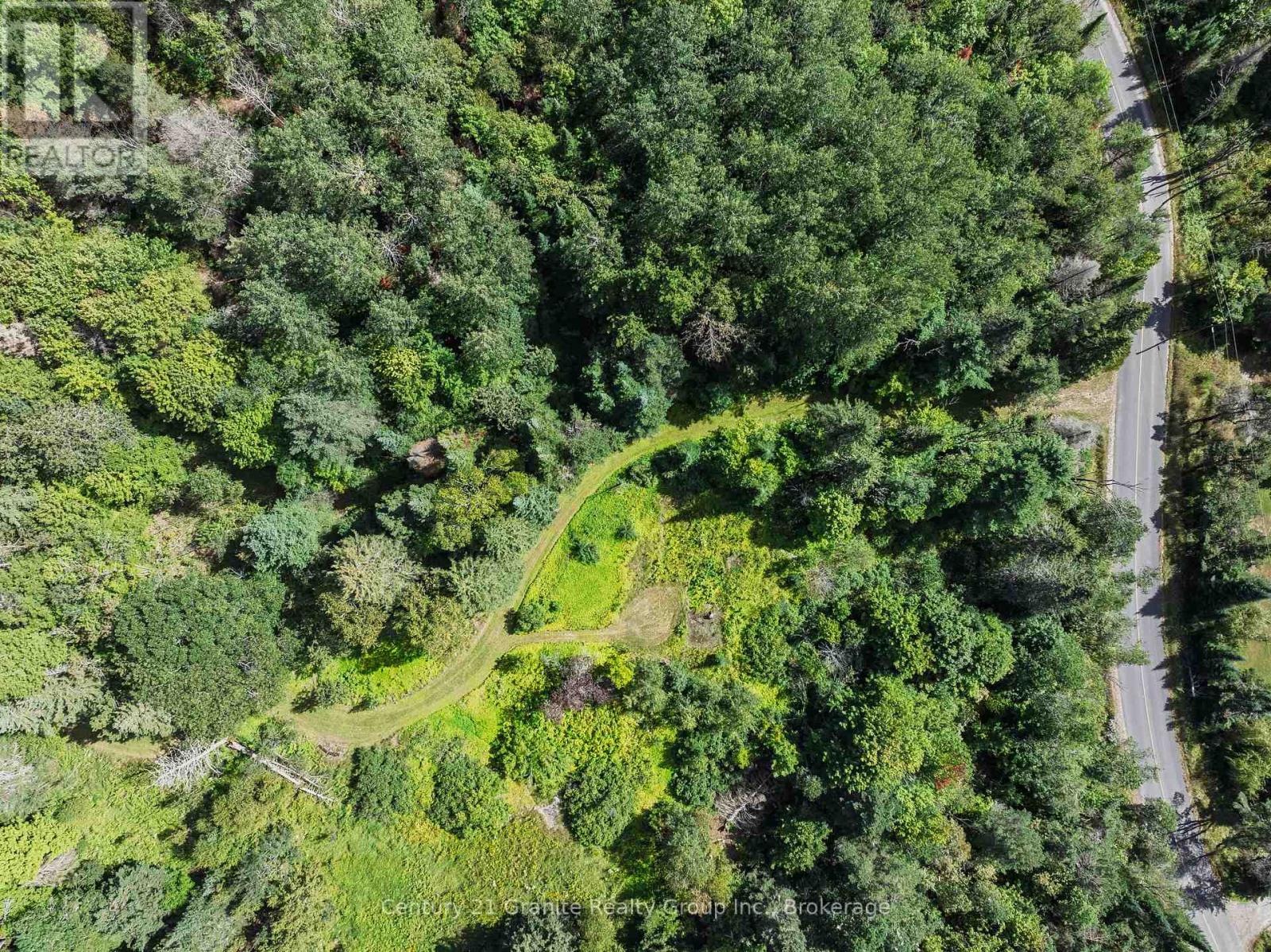 1961 Irondale Road, Highlands East, Ontario K0M 1R0 - Photo 6 - X13759422