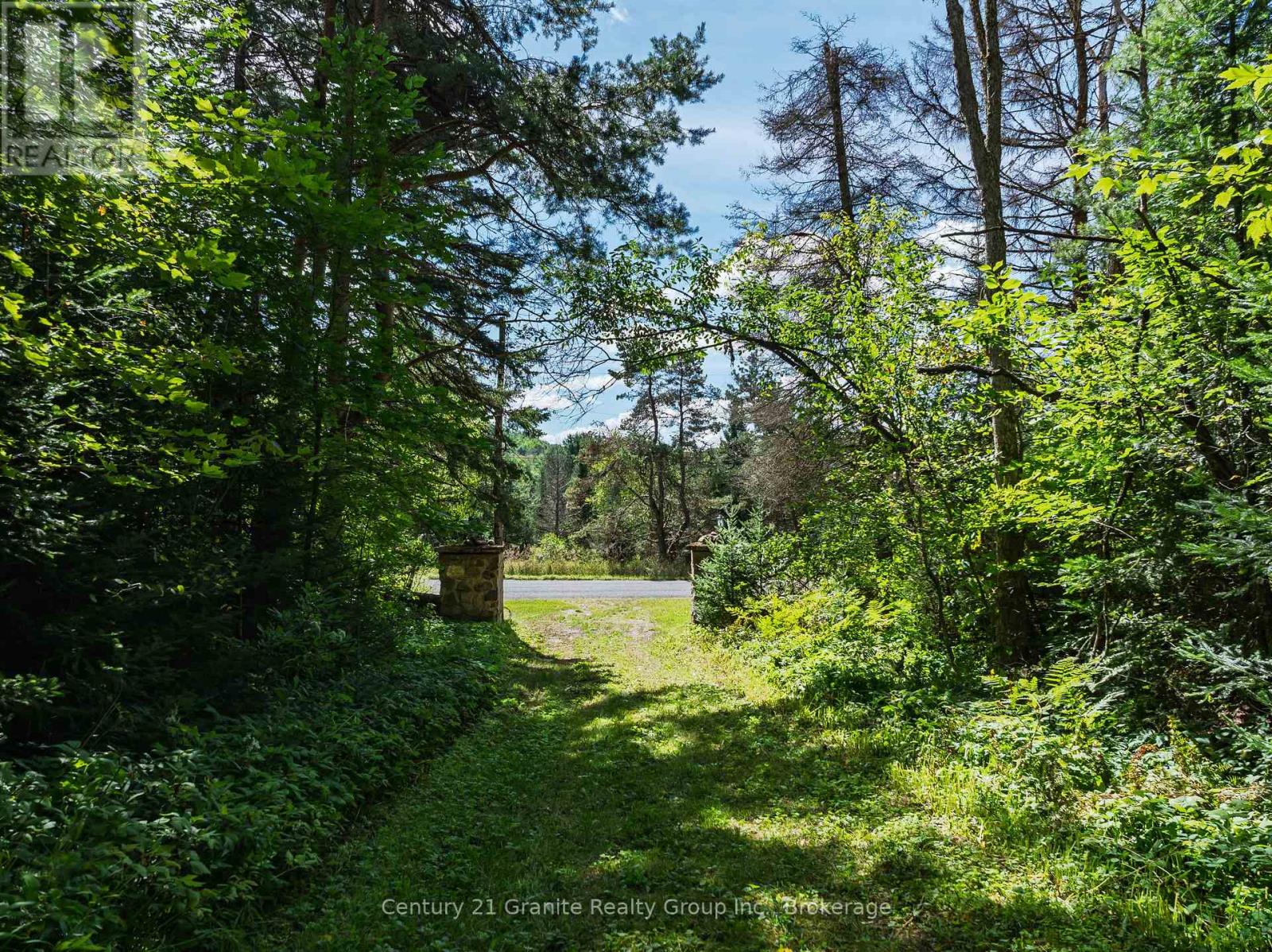 1961 Irondale Road, Highlands East, Ontario K0M 1R0 - Photo 8 - X13759422