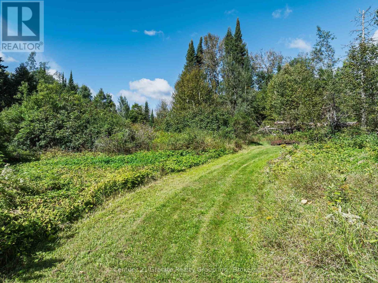 1961 Irondale Road, Highlands East, Ontario K0M 1R0 - Photo 9 - X13759422