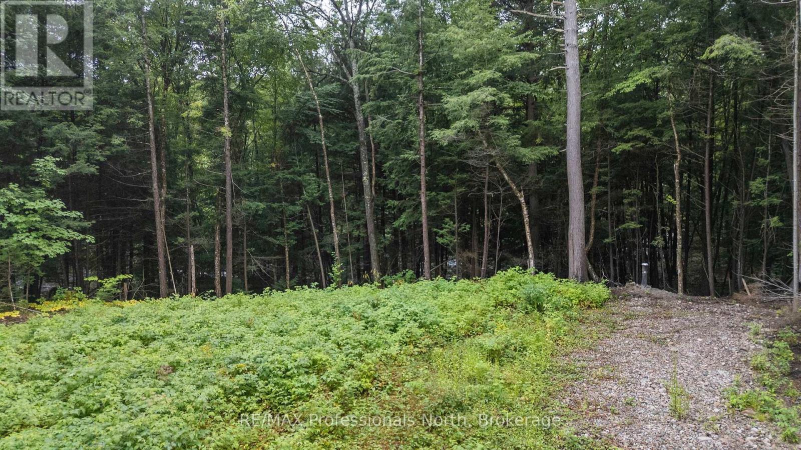 1247 Hawk Valley Road, Algonquin Highlands, Ontario K0M 1J2 - Photo 11 - X13759424