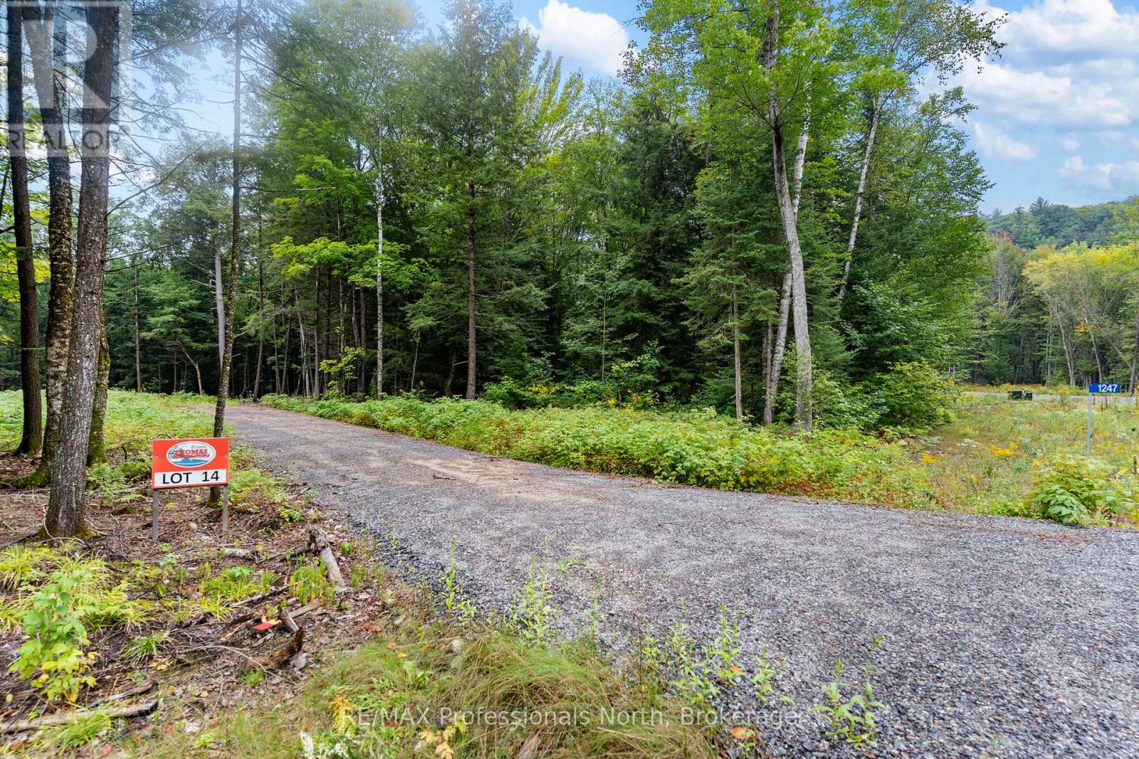 1247 Hawk Valley Road, Algonquin Highlands, Ontario K0M 1J2 - Photo 12 - X13759424