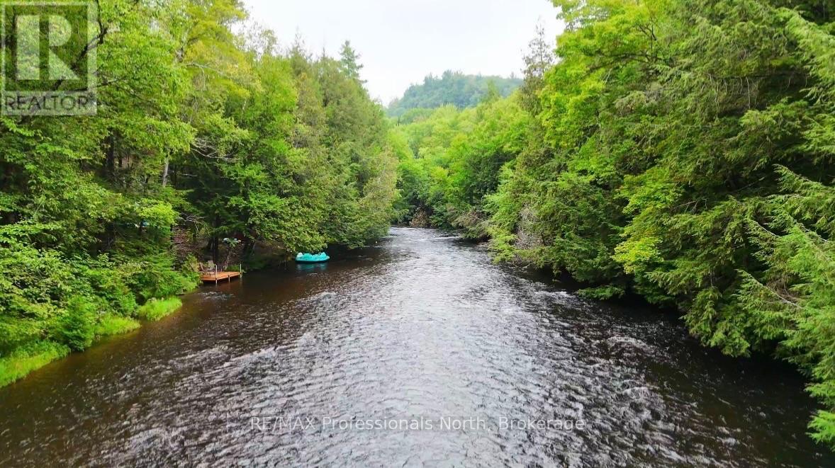 1247 Hawk Valley Road, Algonquin Highlands, Ontario K0M 1J2 - Photo 4 - X13759424