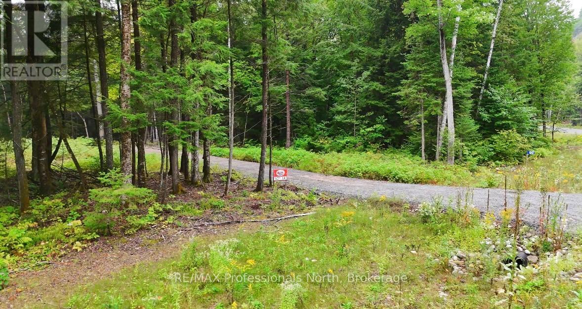 1247 Hawk Valley Road, Algonquin Highlands, Ontario K0M 1J2 - Photo 6 - X13759424