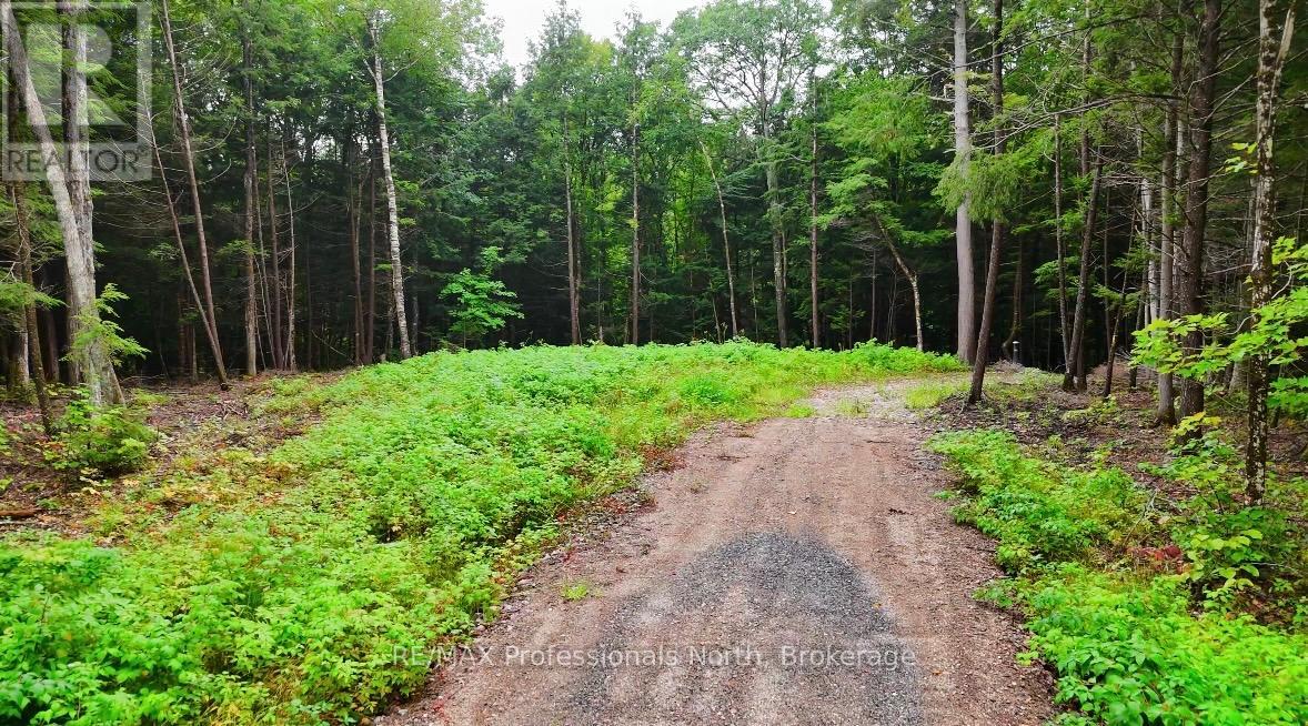 1247 Hawk Valley Road, Algonquin Highlands, Ontario K0M 1J2 - Photo 7 - X13759424