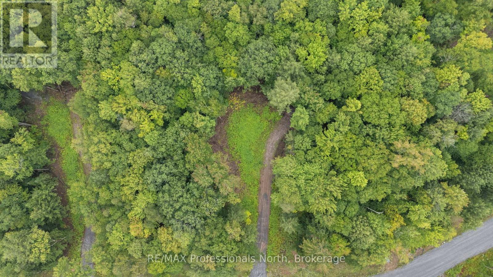 1247 Hawk Valley Road, Algonquin Highlands, Ontario K0M 1J2 - Photo 8 - X13759424
