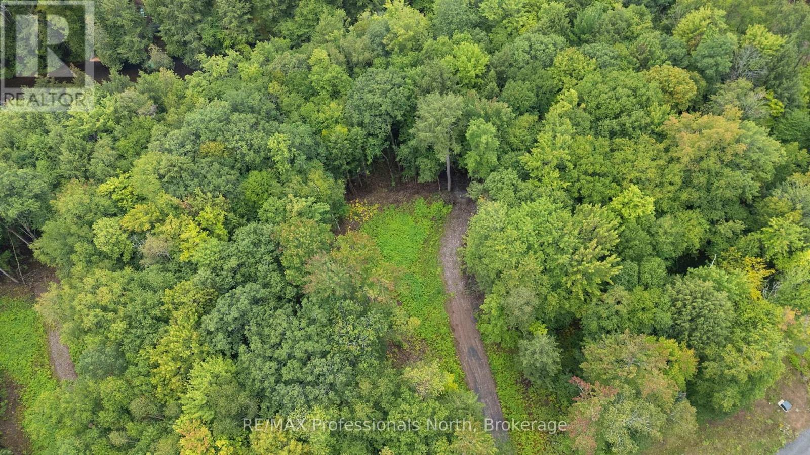1247 Hawk Valley Road, Algonquin Highlands, Ontario K0M 1J2 - Photo 9 - X13759424