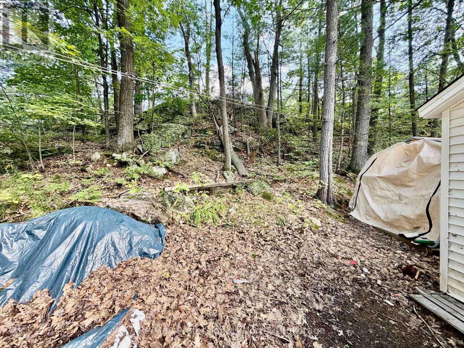 7 - 1007 Racoon Road, Gravenhurst, Ontario  P1P 1R1 - Photo 3 - X13759454