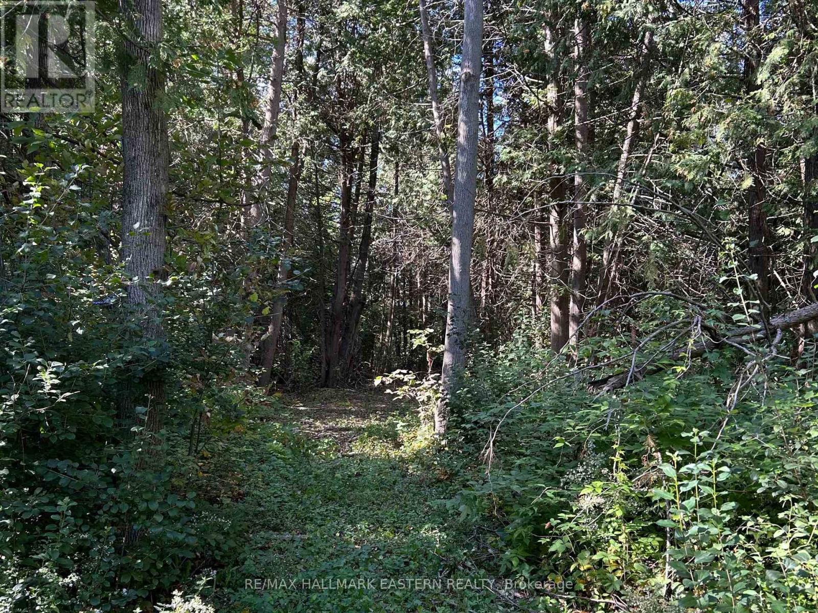 615 Edenderry Line, Selwyn, Ontario  K0L 1T0 - Photo 49 - X13745280