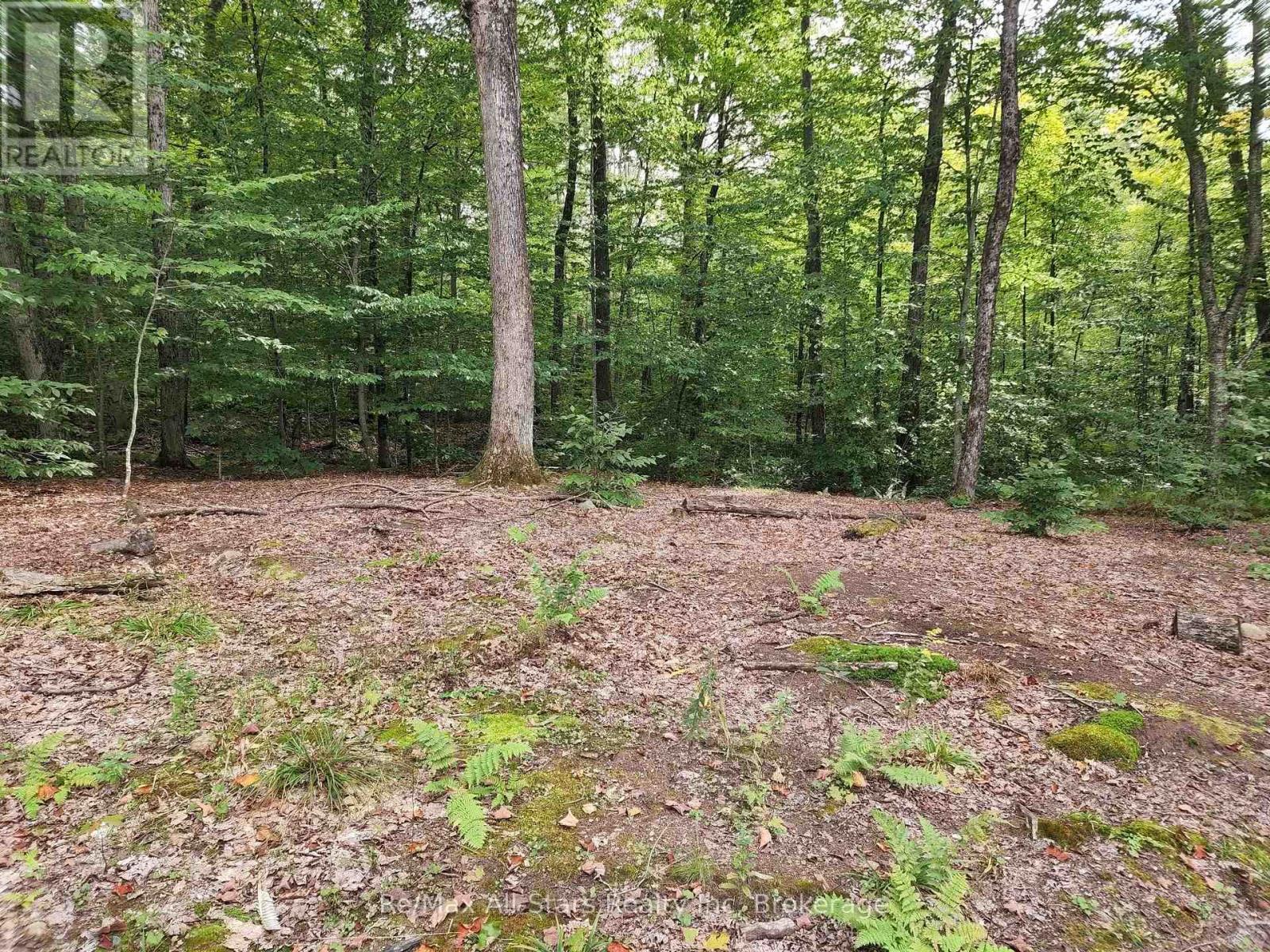 3480 Brunel Road, Lake Of Bays, Ontario P1H 2J3 - Photo 10 - X13736012