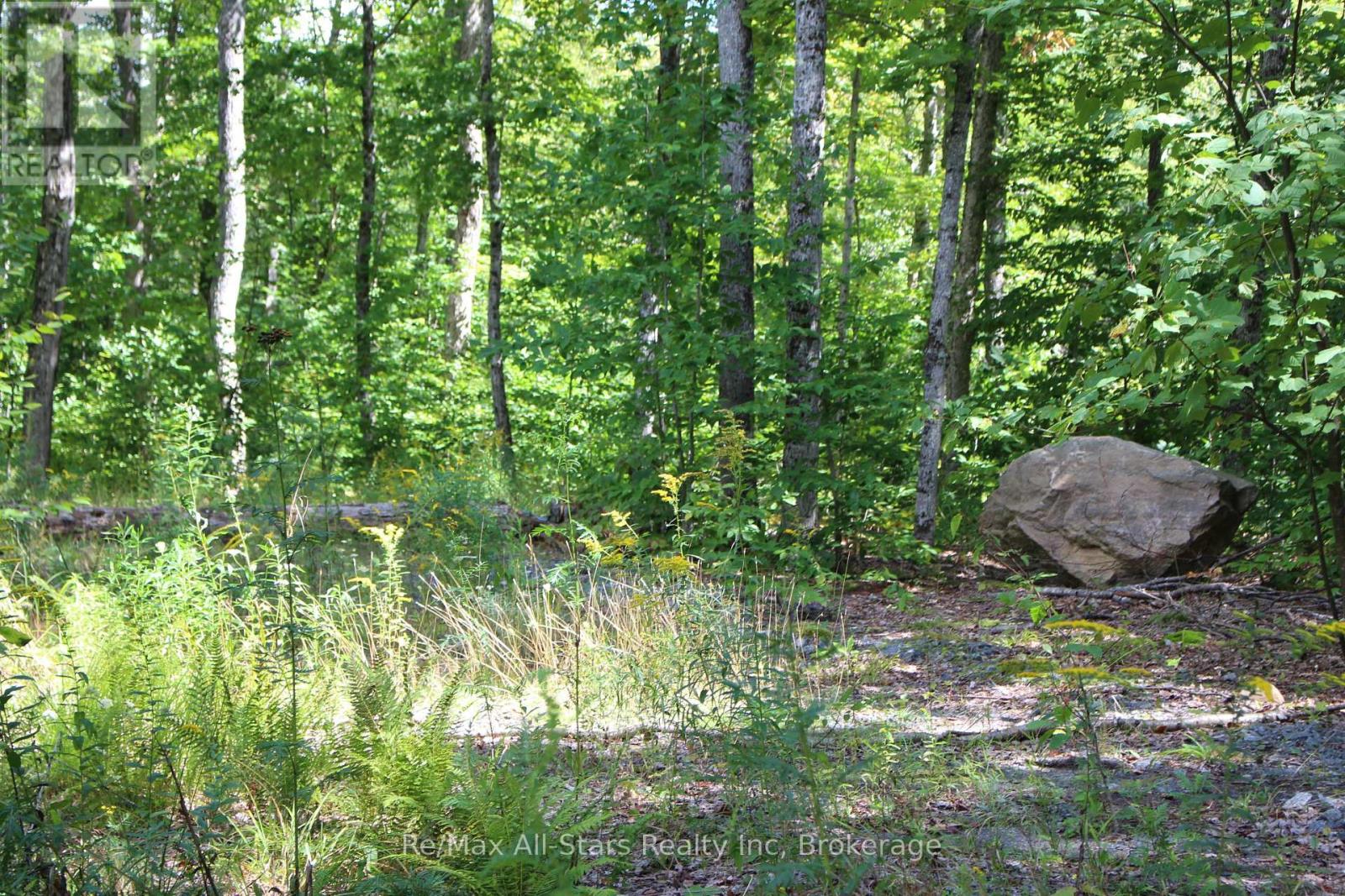 3480 Brunel Road, Lake Of Bays, Ontario P1H 2J3 - Photo 6 - X13736012
