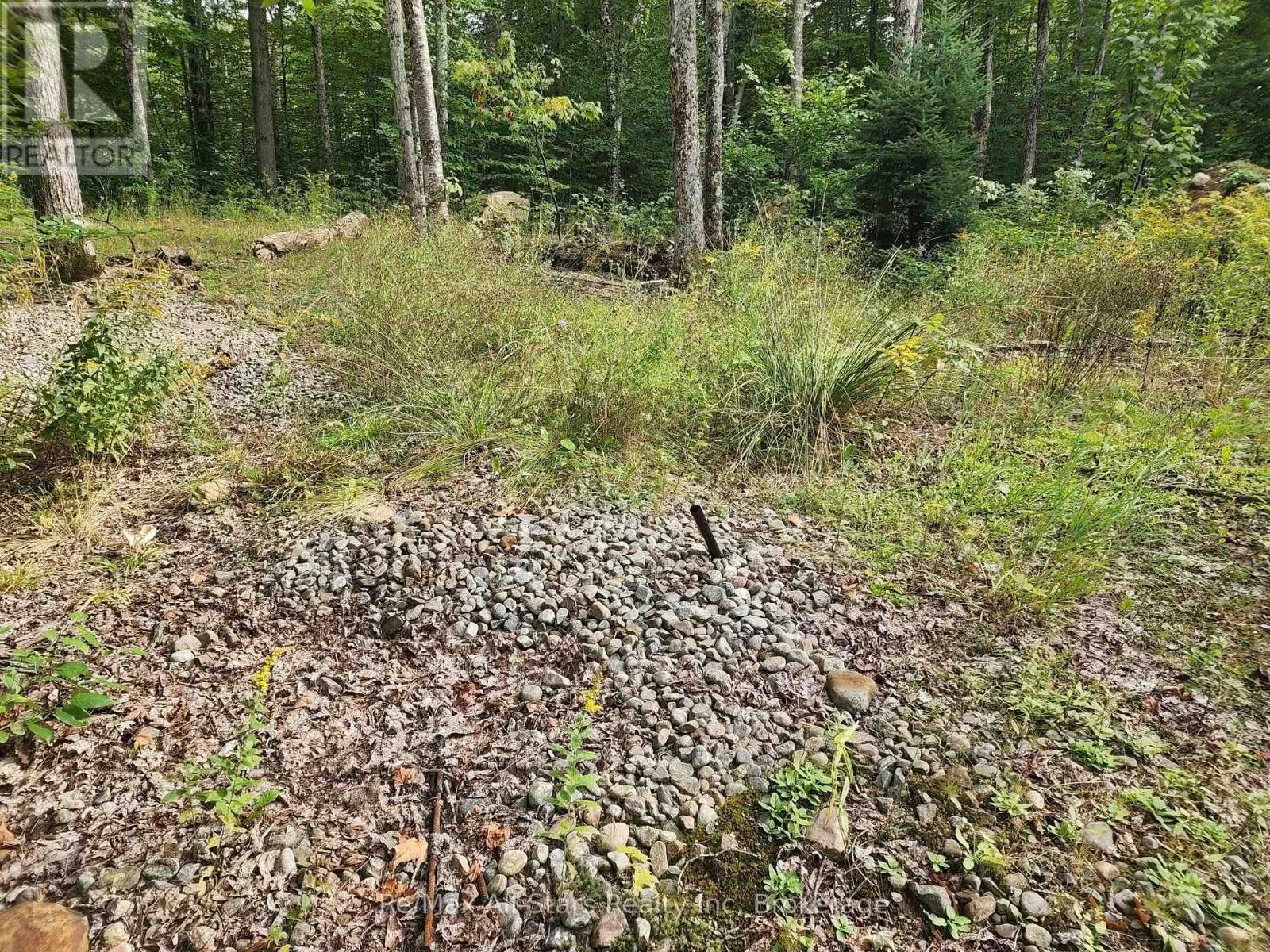 3480 Brunel Road, Lake Of Bays, Ontario P1H 2J3 - Photo 12 - X13736012