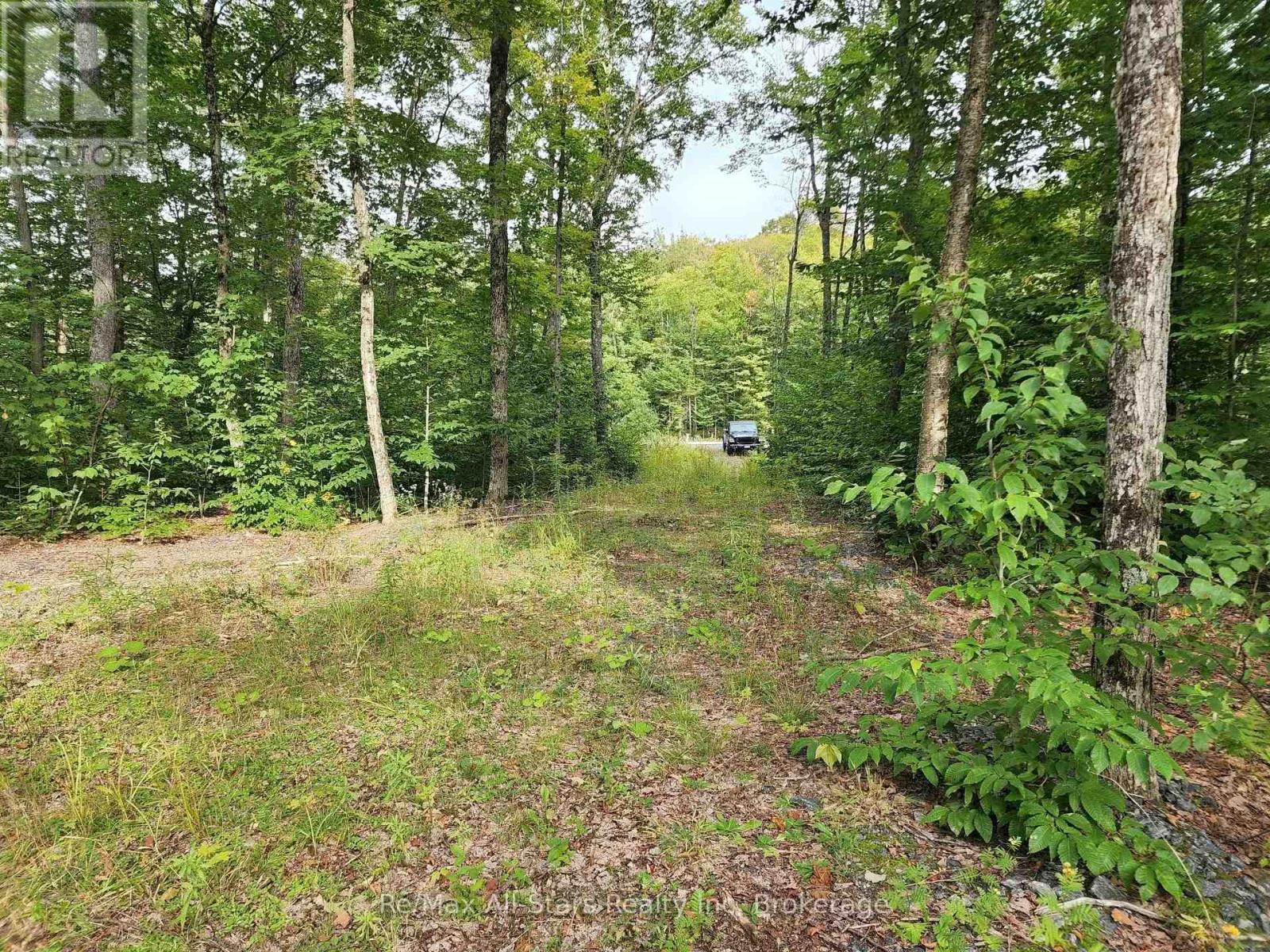3480 BRUNEL ROAD, Lake of Bays, Ontario