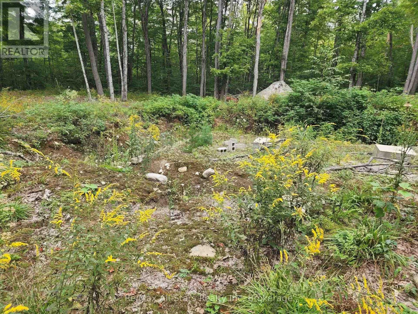 3480 Brunel Road, Lake Of Bays, Ontario P1H 2J3 - Photo 11 - X13736012