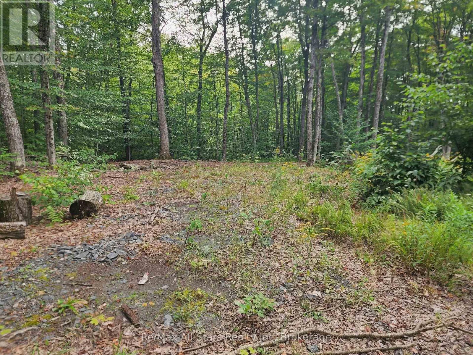 3480 Brunel Road, Lake Of Bays, Ontario P1H 2J3 - Photo 3 - X13736012