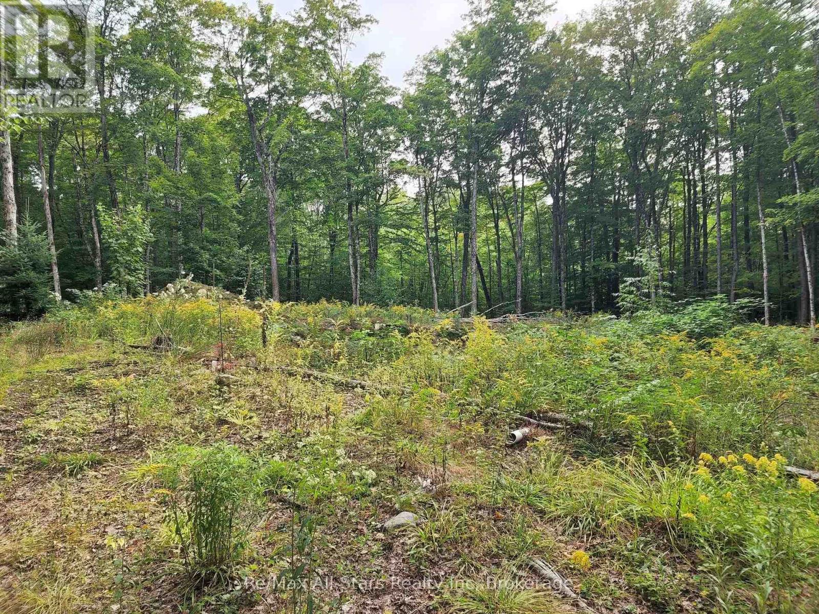 3480 Brunel Road, Lake Of Bays, Ontario P1H 2J3 - Photo 13 - X13736012