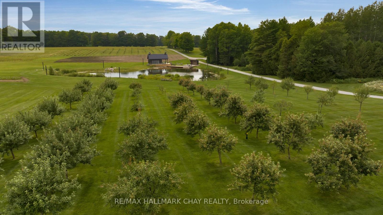 7 Clydesdale Court, Oro-Medonte, Ontario  L0K 1E0 - Photo 43 - S13759756