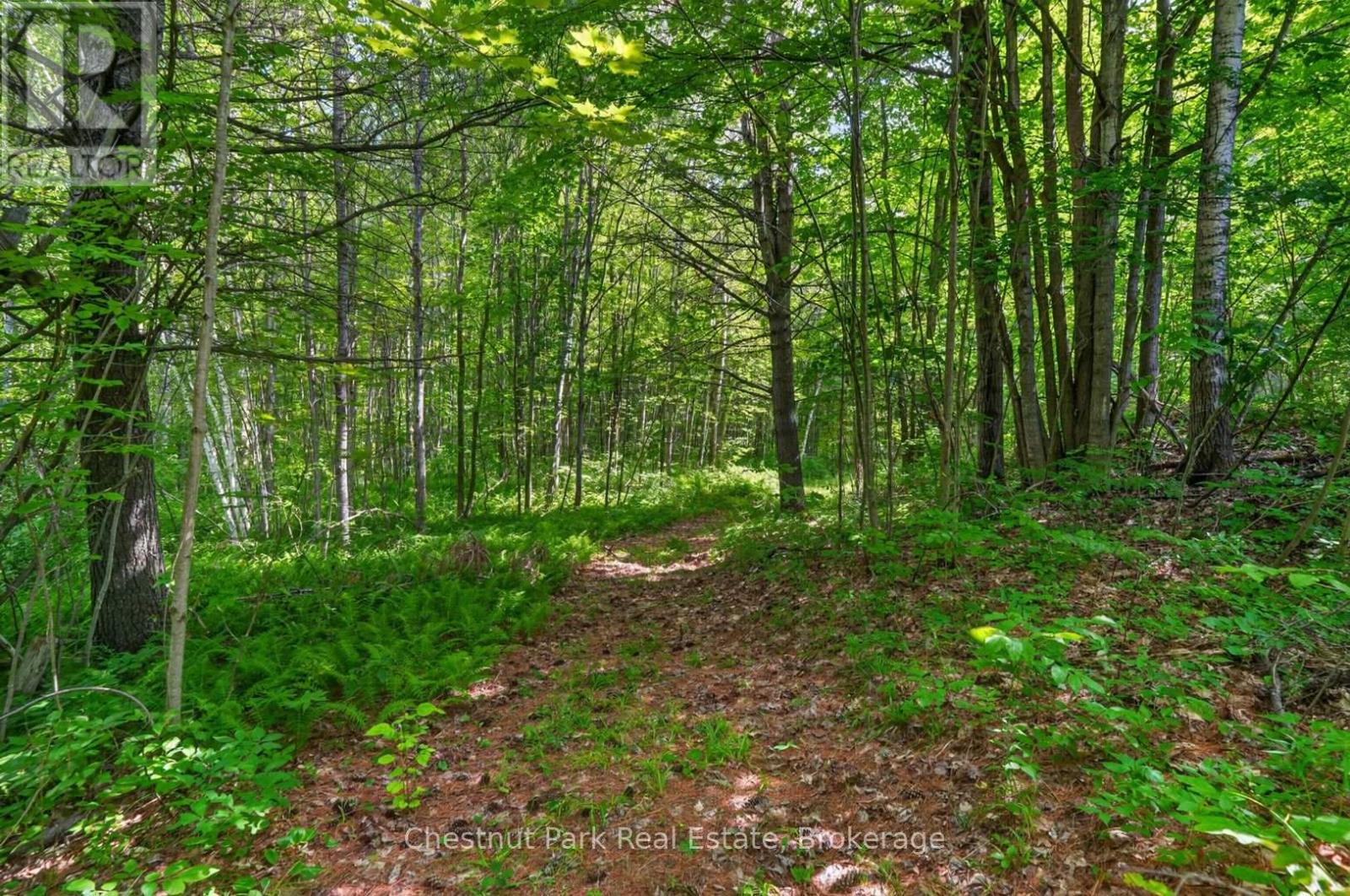 1304 11 Highway N, Gravenhurst, Ontario  P0E 1N0 - Photo 39 - X13759504