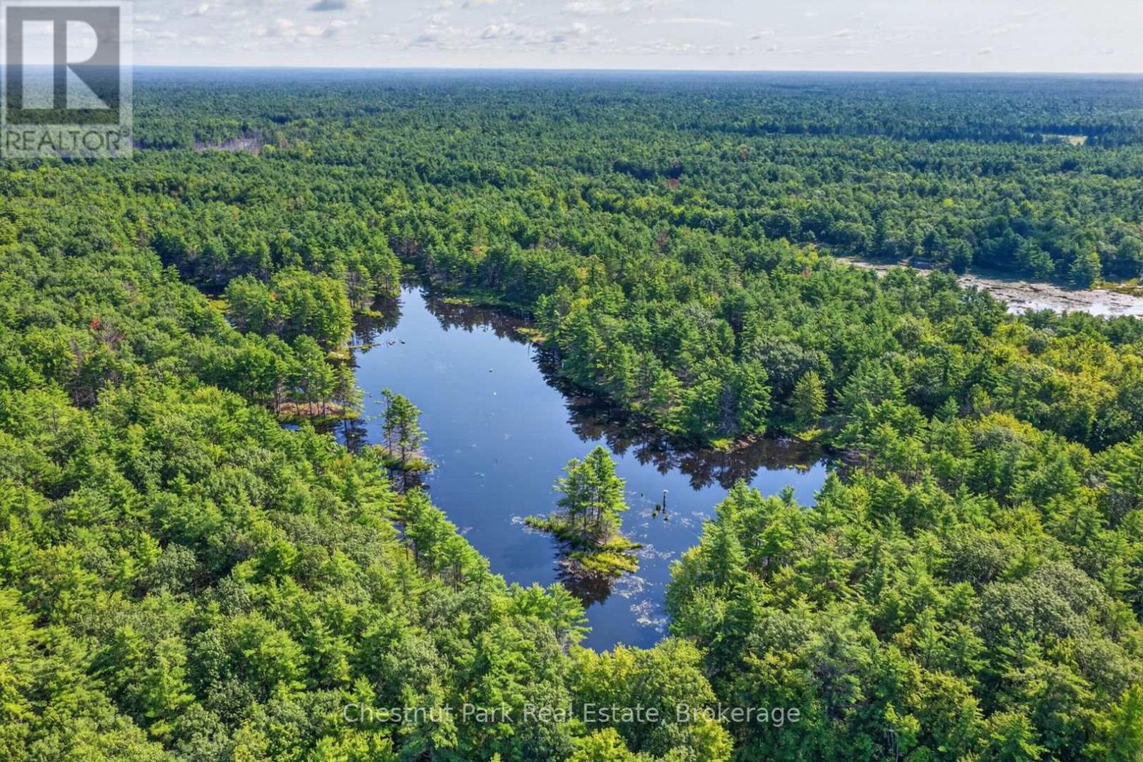 1304 11 Highway N, Gravenhurst, Ontario  P0E 1N0 - Photo 42 - X13759504