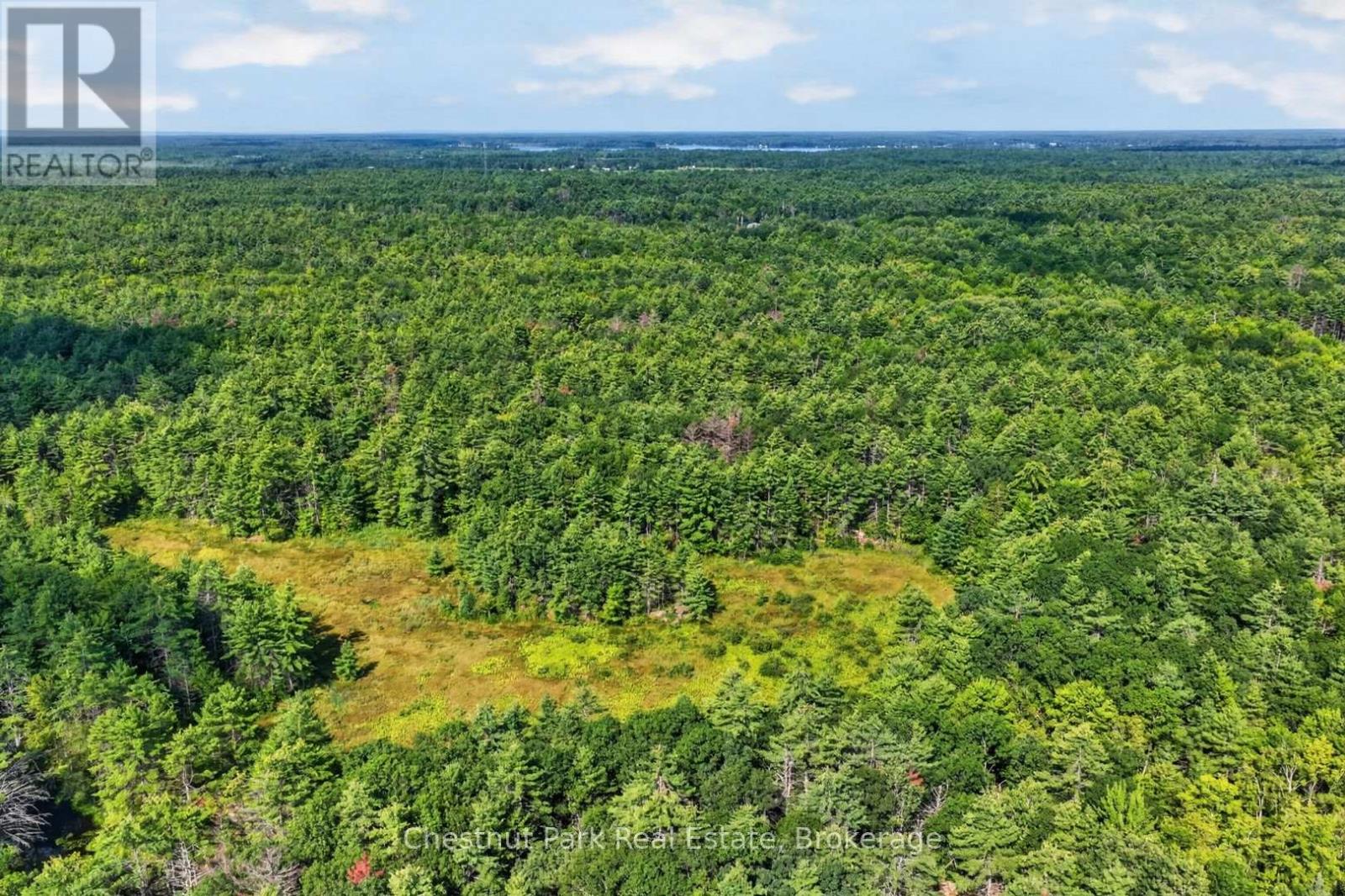 1304 11 Highway N, Gravenhurst, Ontario  P0E 1N0 - Photo 44 - X13759504