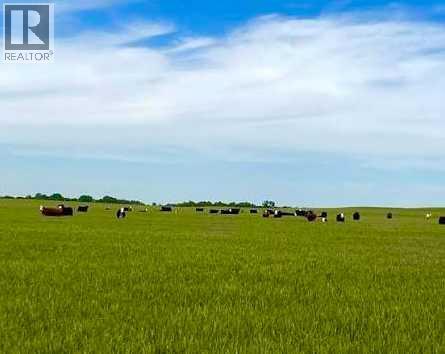 270020 Highway 564  NE, Rural Rocky View County, Alberta  T1Z 0T3 - Photo 2 - A2338625