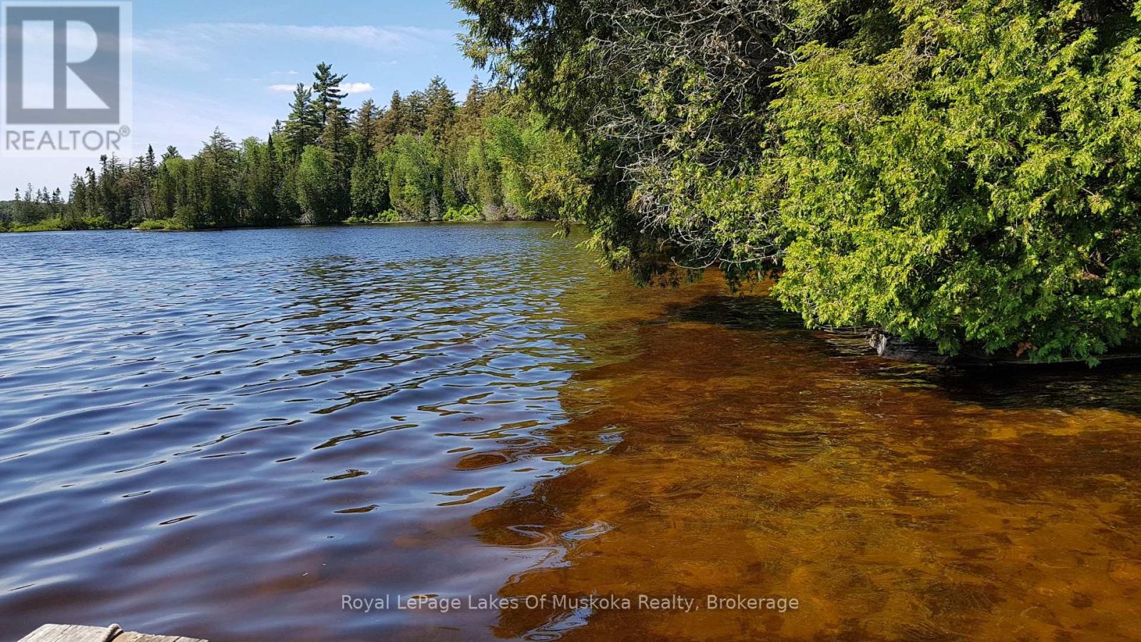 1071 Dotty Lake Road, Lake Of Bays (Finlayson), Ontario  P0A 1H0 - Photo 5 - X13760060