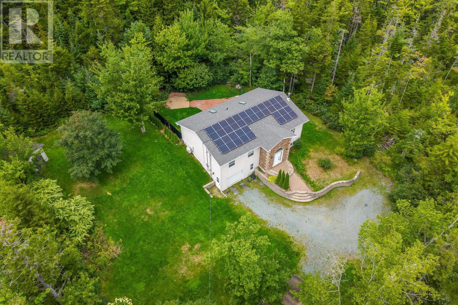 picture 46