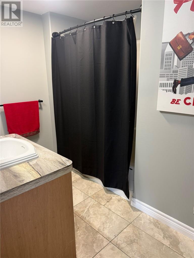 244 Copper Street, Sudbury, Ontario  P3E 2C2 - Photo 9 - 2130252