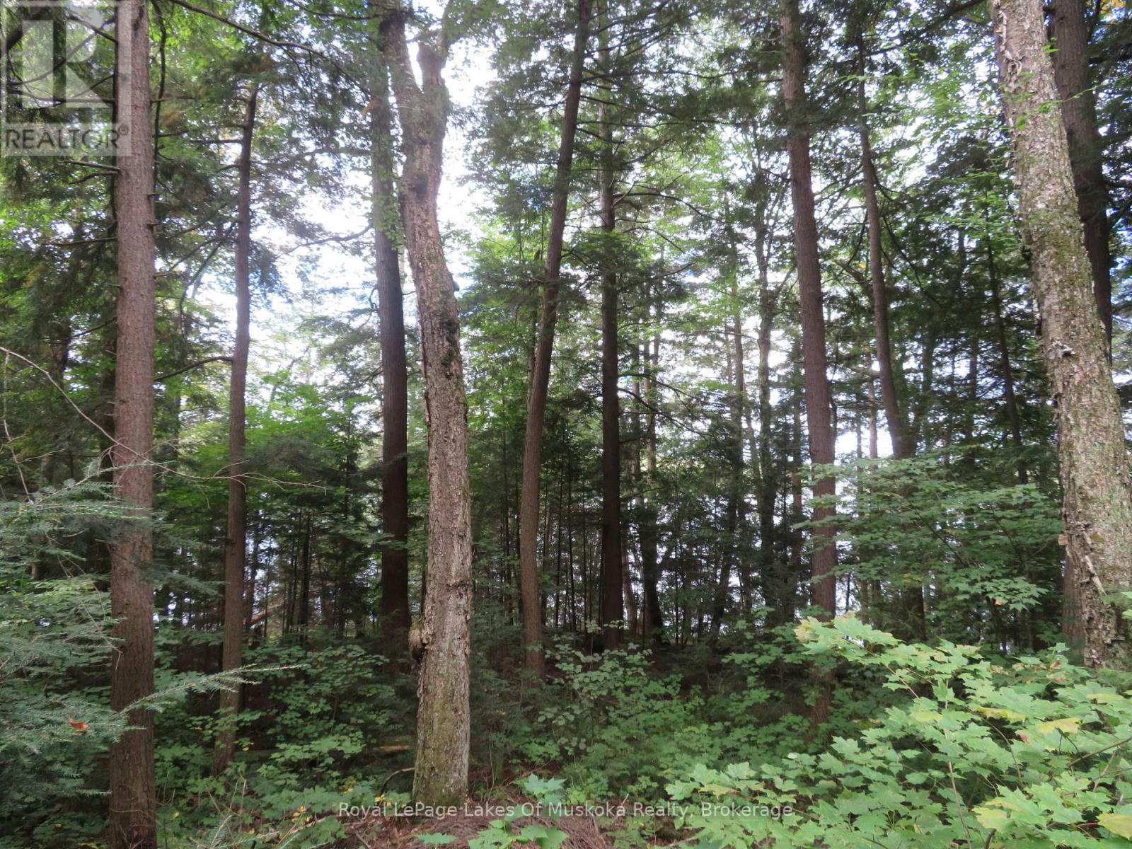 1071 Dotty Lake Road, Lake Of Bays (Finlayson), Ontario  P0A 1H0 - Photo 12 - X13760060