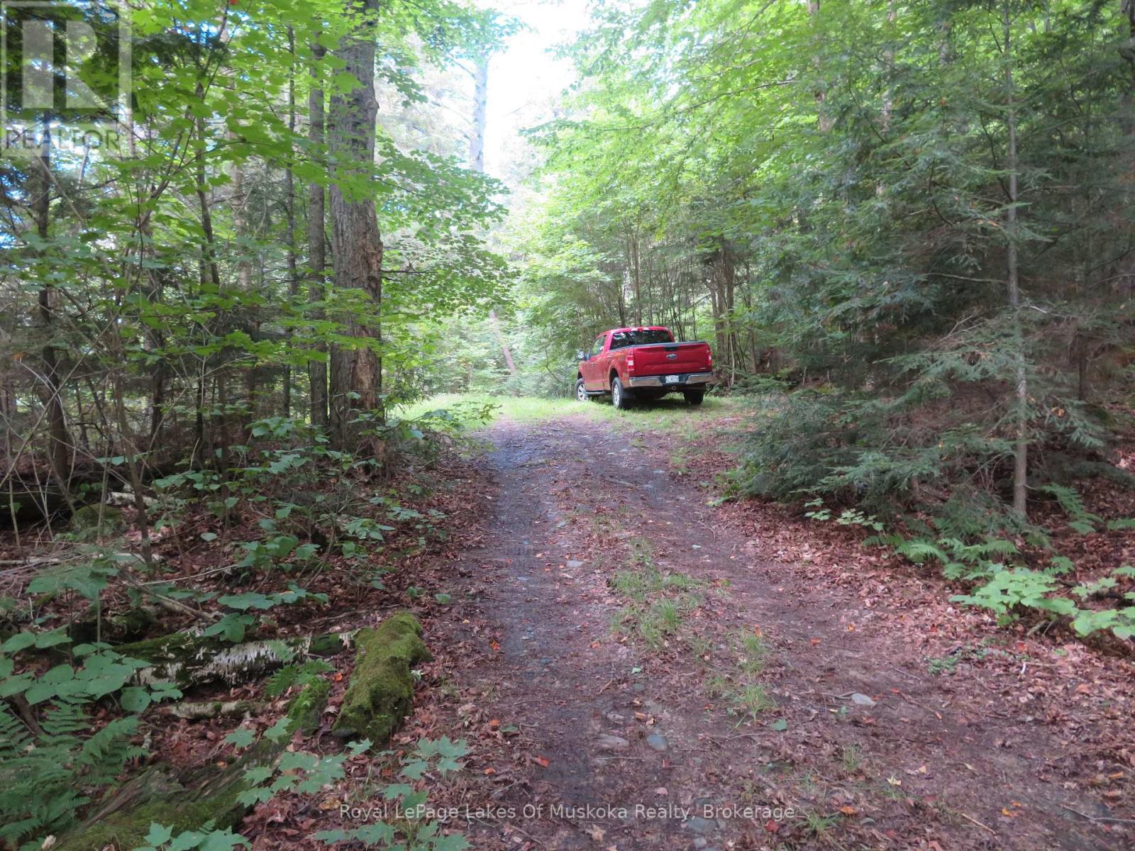 1071 Dotty Lake Road, Lake Of Bays (Finlayson), Ontario  P0A 1H0 - Photo 11 - X13760060