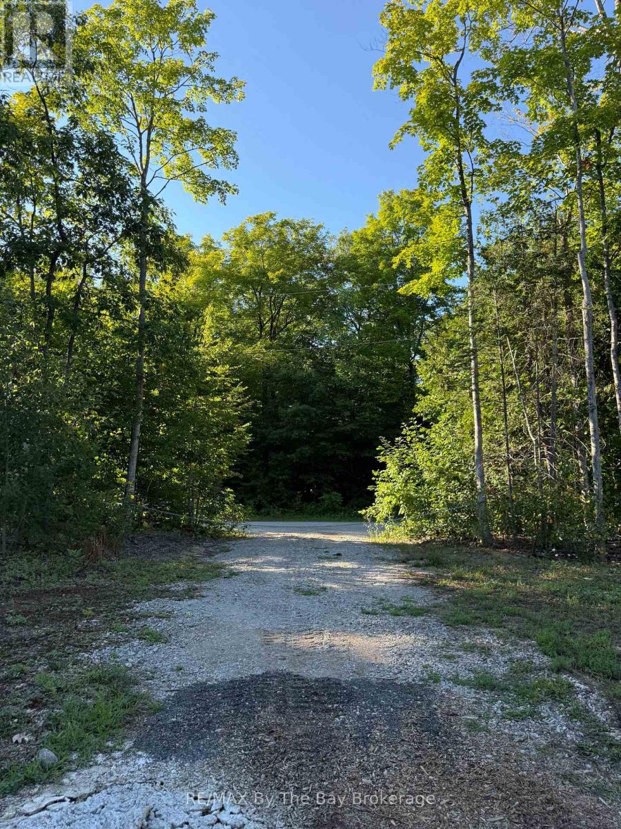 909 17 Concession, Tiny, Ontario  L0L 2J0 - Photo 5 - S13417708