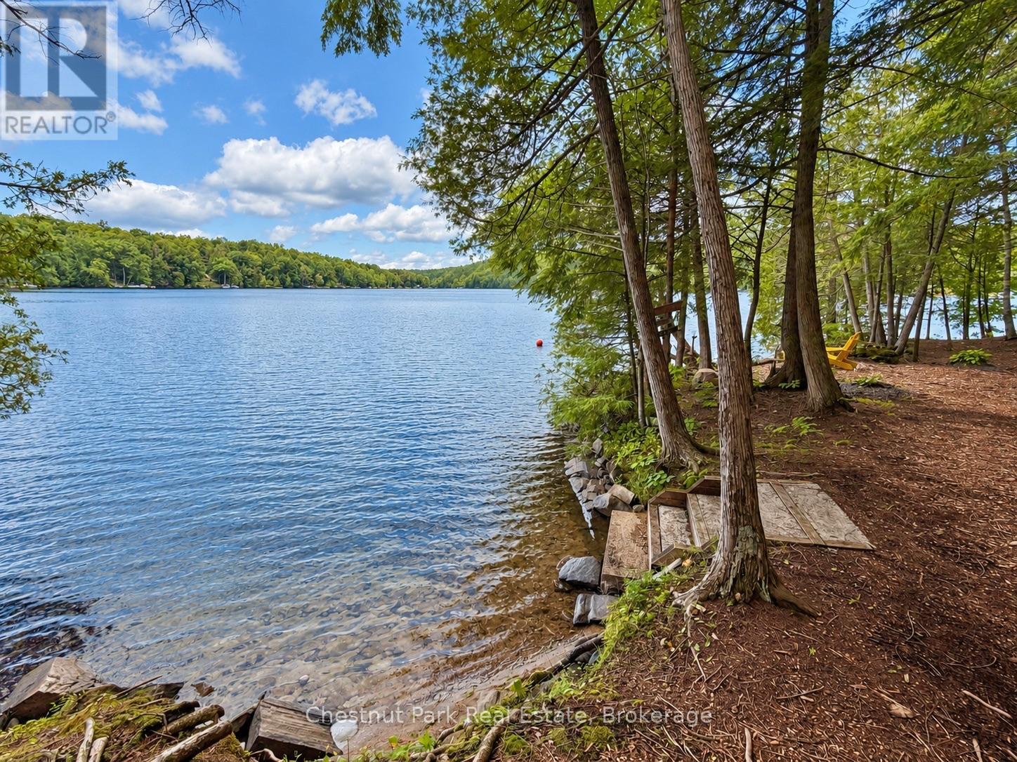 1304 Grandpa's Trail, Highlands East, Ontario K0M 2K0 - Photo 13 - X13760342