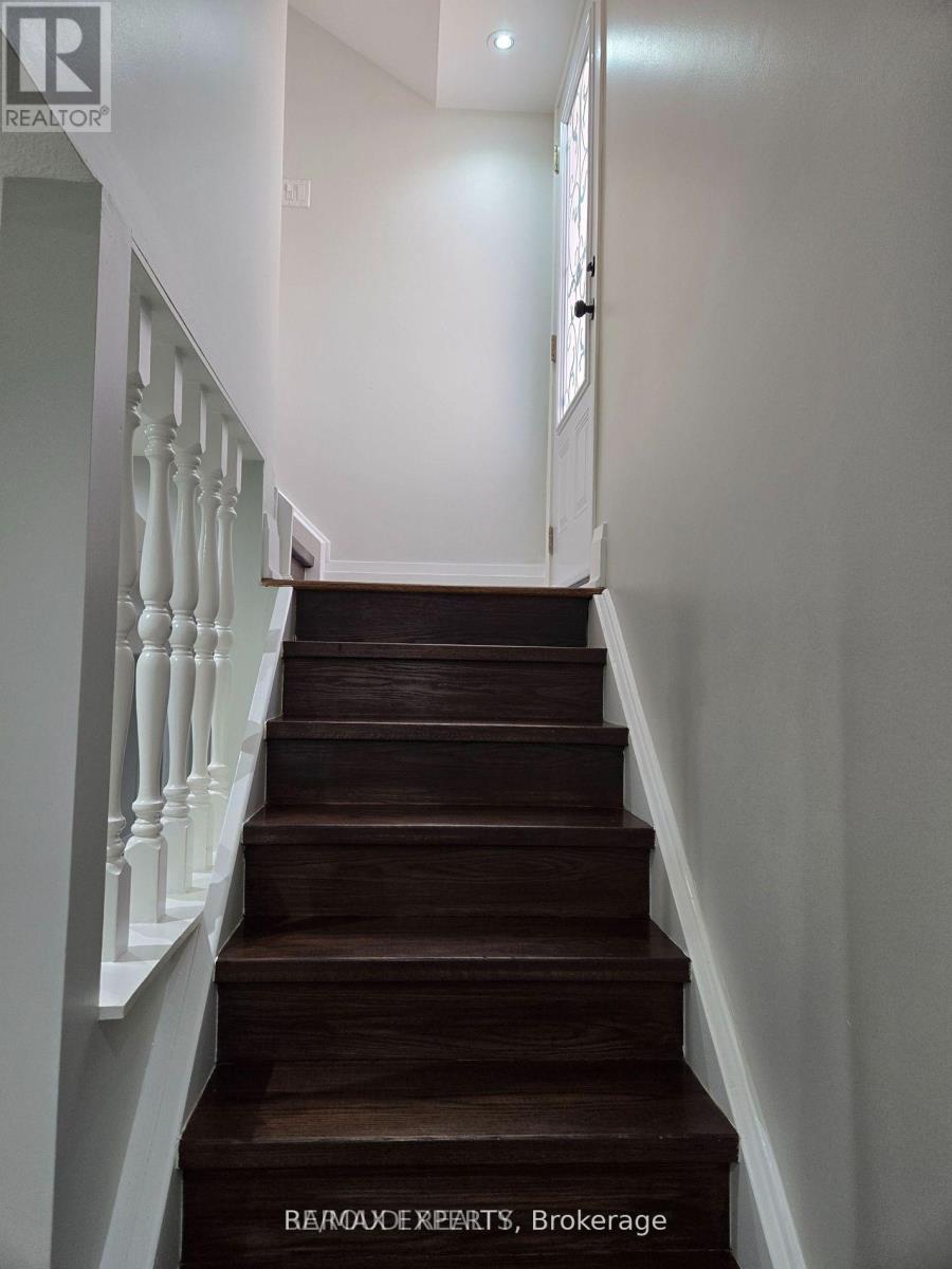 Lower - 19 Rory Road, Toronto, Ontario  M6L 3E9 - Photo 7 - W13760480