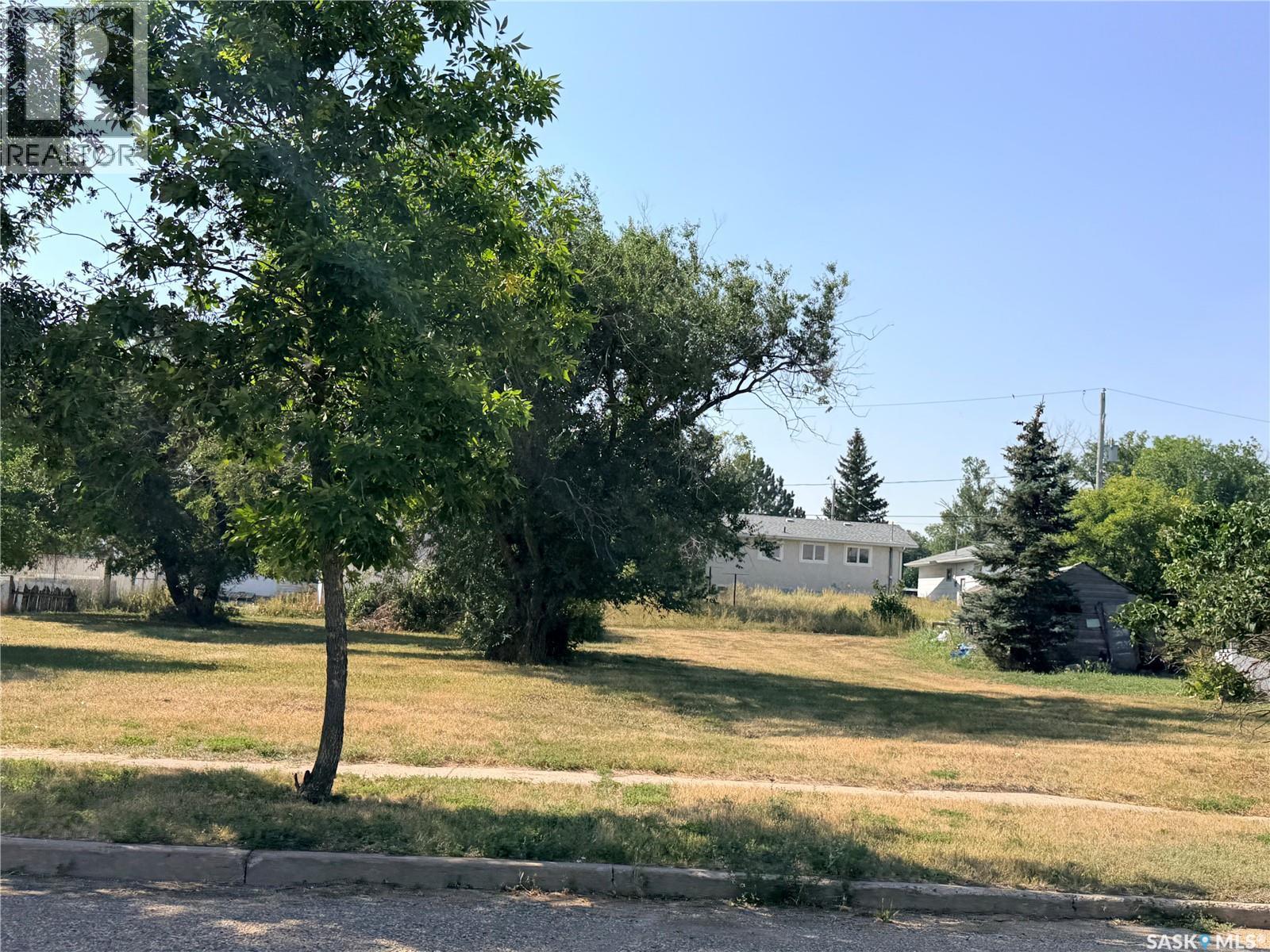 407-409 2nd Avenue W, Assiniboia, Saskatchewan  S0H 0B0 - Photo 2 - SK047729