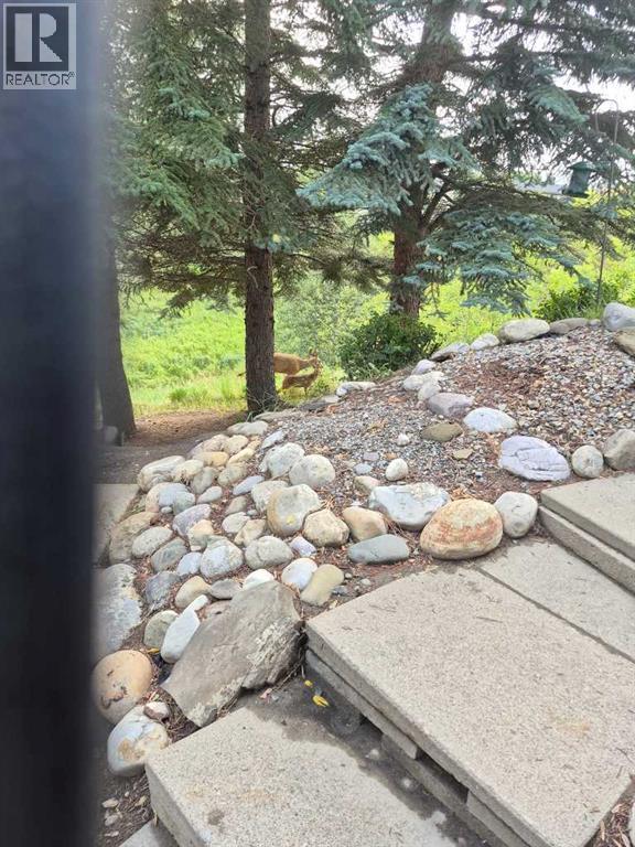 12, 800 Bowcroft Place, Cochrane, Alberta  T4C 1B9 - Photo 24 - A2336049