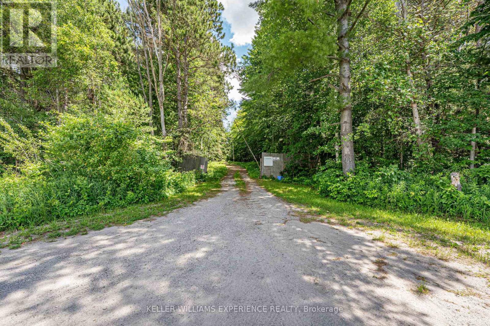 8137 4th Line, Essa, Ontario  L3W 0S5 - Photo 5 - N13760640