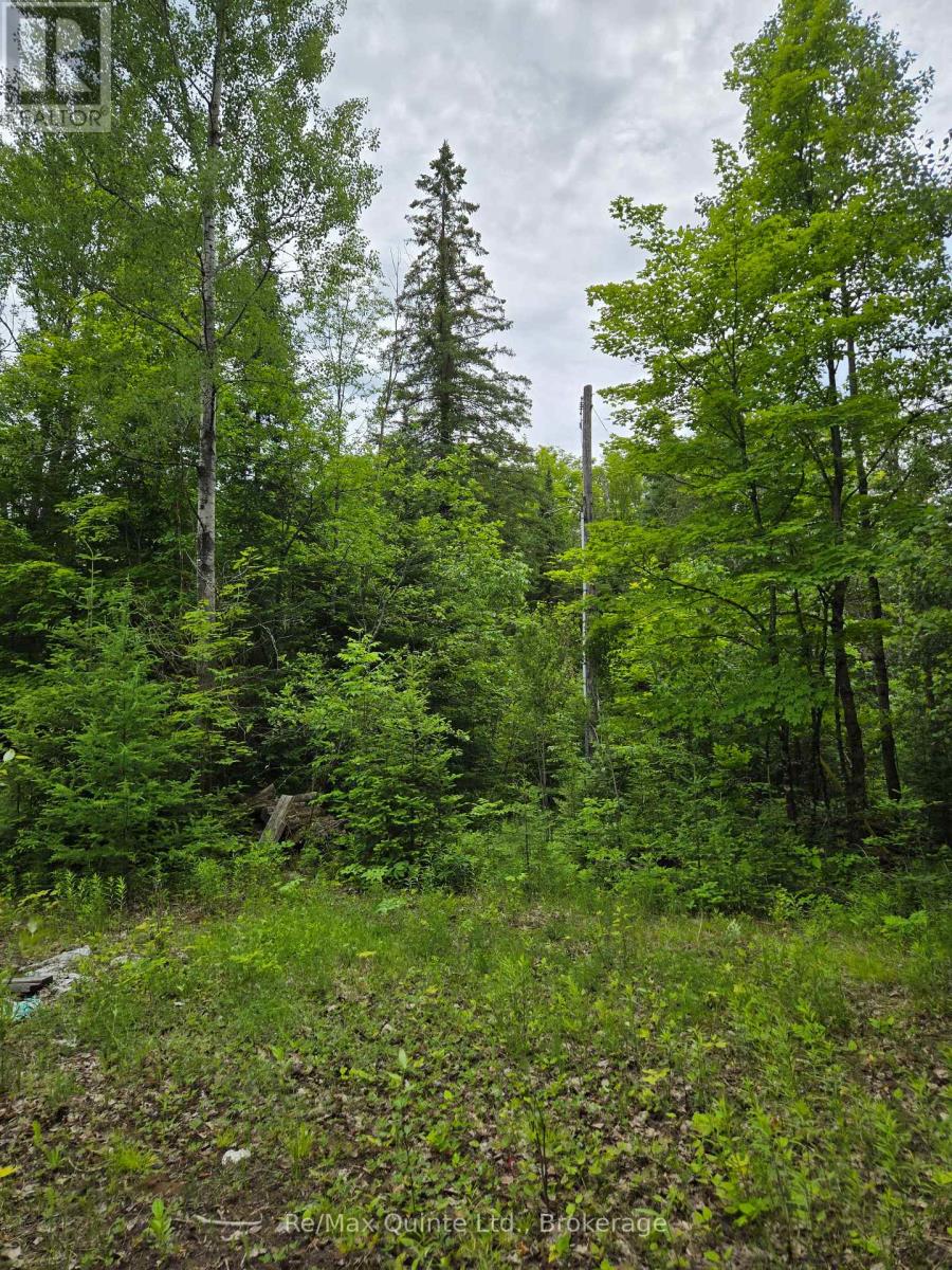 40 Marquardt Road, Addington Highlands, Ontario  K0H 1K0 - Photo 5 - X13070140