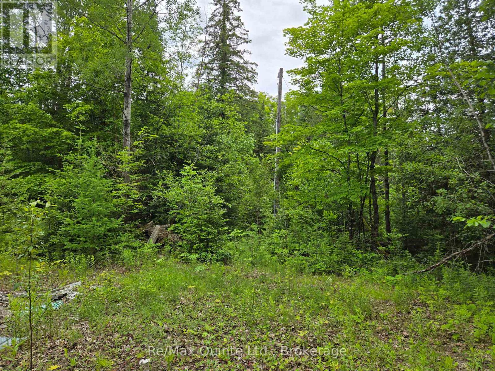 40 Marquardt Road, Addington Highlands, Ontario  K0H 1K0 - Photo 6 - X13070140