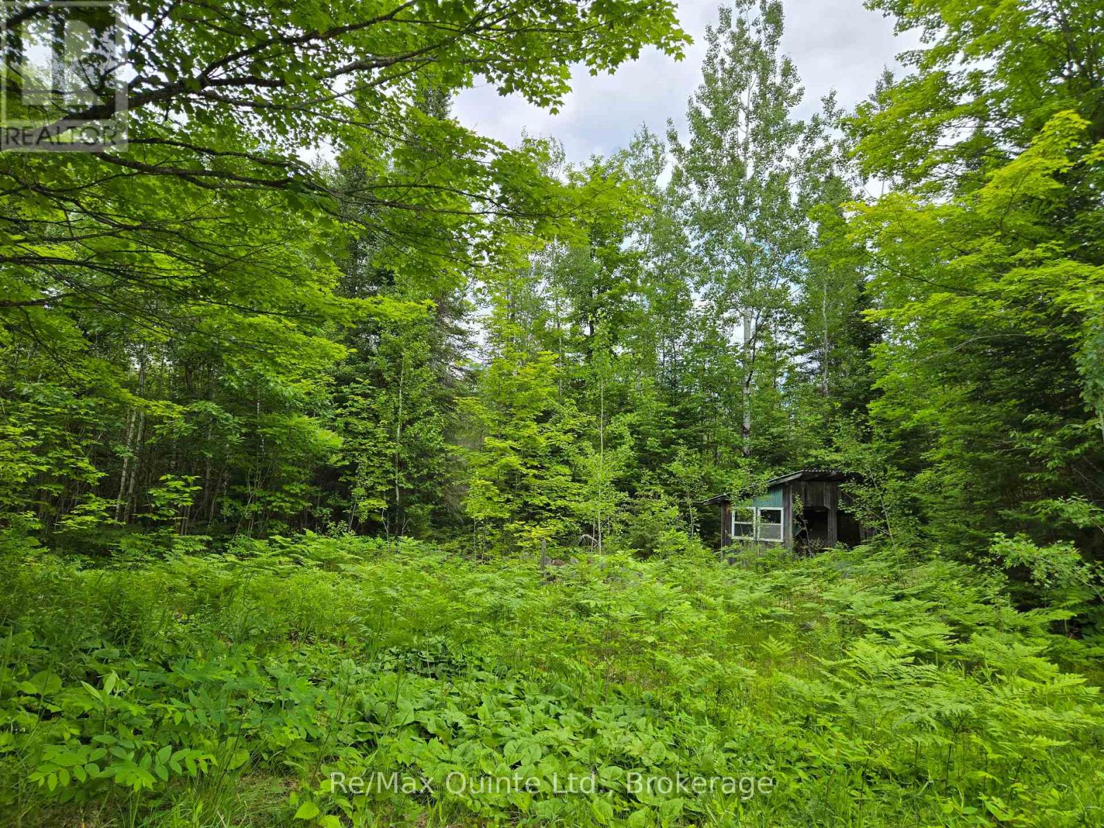 40 Marquardt Road, Addington Highlands, Ontario  K0H 1K0 - Photo 2 - X13070140