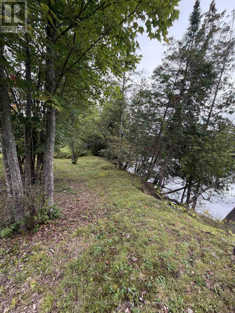 000 Evergreen Lane, Brudenell, Ontario  K0J 2E0 - Photo 16 - X13761162