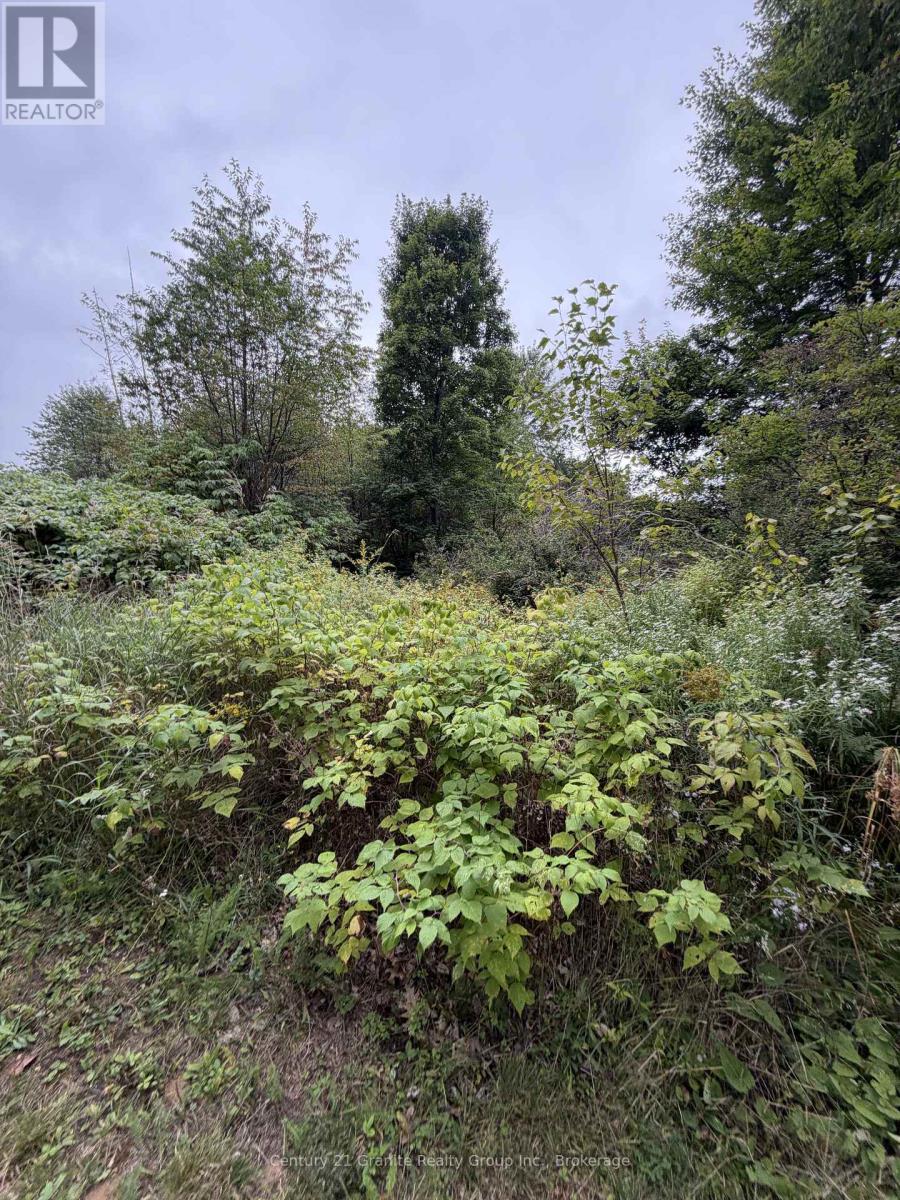 000 Evergreen Lane, Brudenell, Ontario  K0J 2E0 - Photo 17 - X13761162