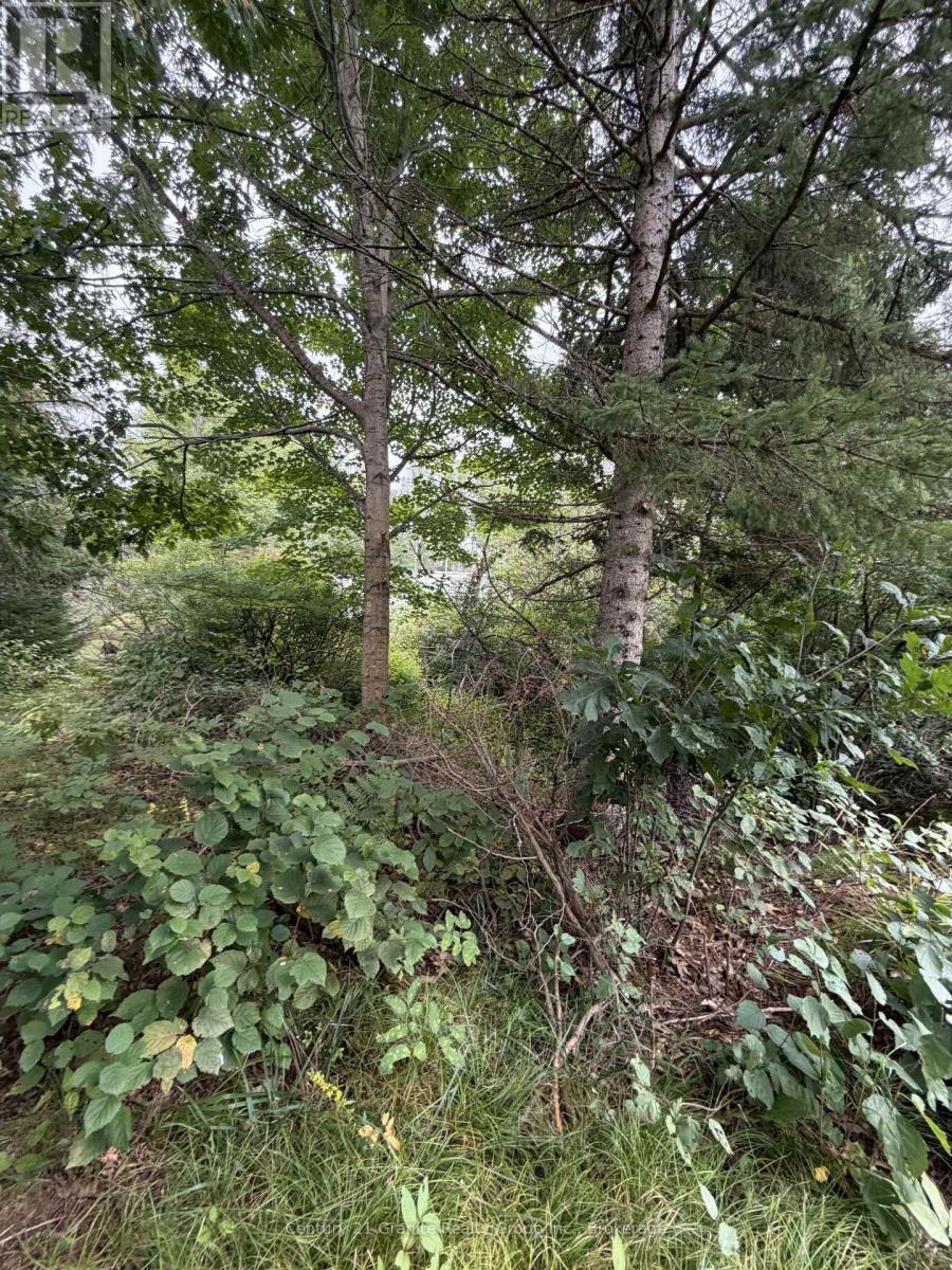 000 Evergreen Lane, Brudenell, Ontario  K0J 2E0 - Photo 18 - X13761162