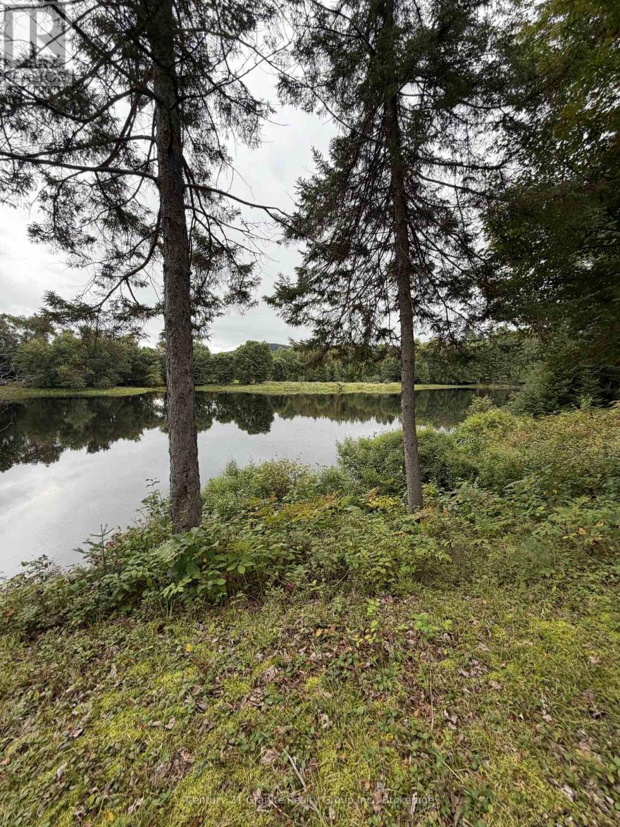 000 Evergreen Lane, Brudenell, Ontario  K0J 2E0 - Photo 4 - X13761162