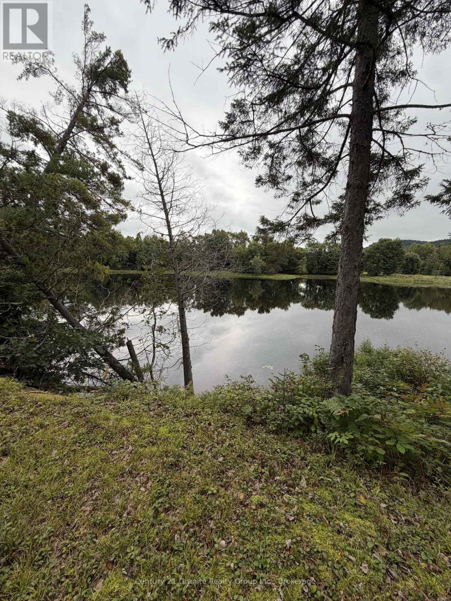000 Evergreen Lane, Brudenell, Ontario  K0J 2E0 - Photo 5 - X13761162