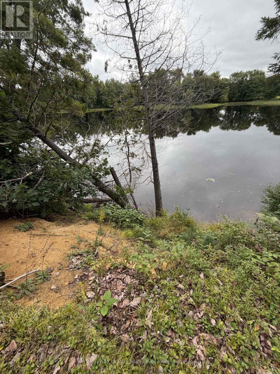 000 Evergreen Lane, Brudenell, Ontario  K0J 2E0 - Photo 6 - X13761162